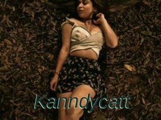 Kanndycatt