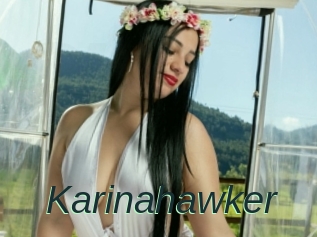 Karinahawker