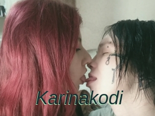 Karinakodi