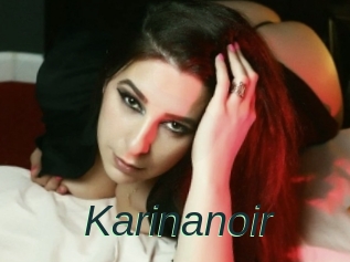 Karinanoir