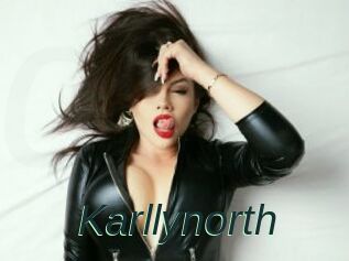 Karllynorth