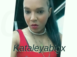 Kataleyabigx