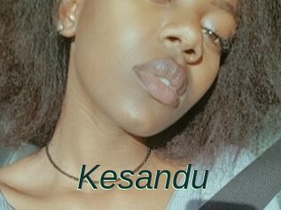 Kesandu