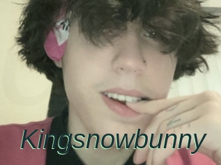 Kingsnowbunny