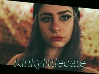 Kinkylittlecate