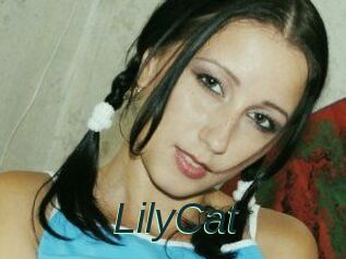 Lily_Cat_