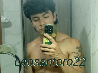 Leosantoro22