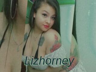 Lizhorney