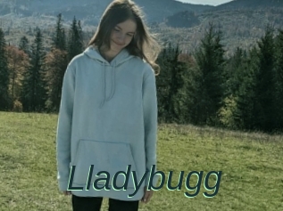 Lladybugg