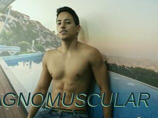 MAGNOMUSCULAR