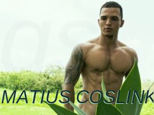 MATIUS_COSLINK