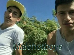 Malehotboys