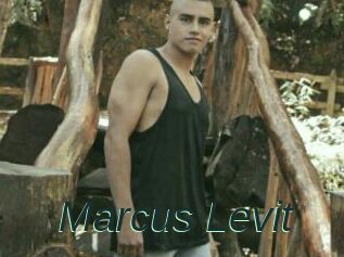 Marcus_Levit