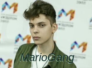 MarioGang