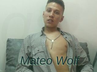 Mateo_Wolf