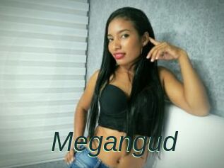 Megangud