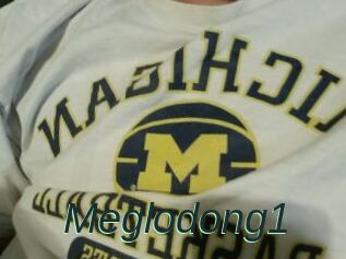Meglodong1