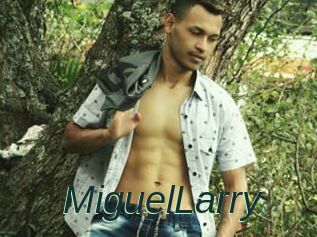 MiguelLarry
