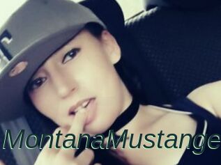 MontanaMustange