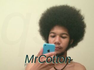 MrCotton