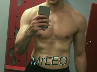 MrLEO