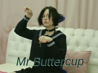 Mr_Buttercup