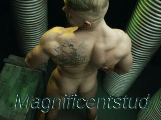 Magnificentstud