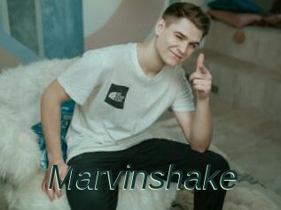 Marvinshake