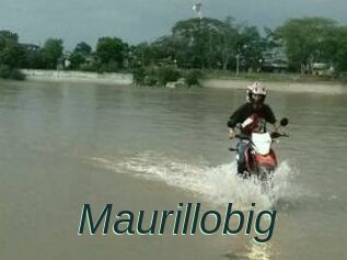Maurillobig