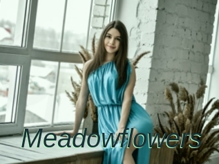 Meadowflowers