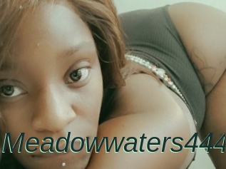 Meadowwaters444