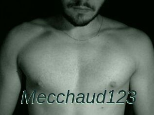 Mecchaud123