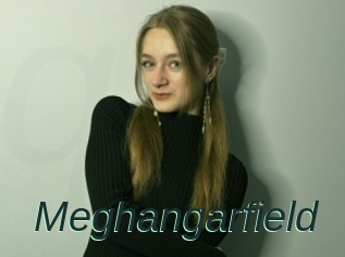Meghangarfield