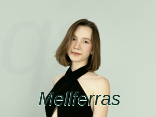 Mellferras