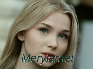 Merylarnet