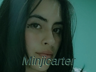 Minjicarter