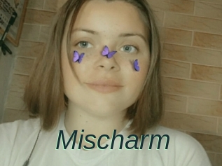 Mischarm