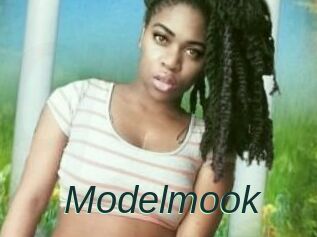 Modelmook