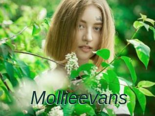 Mollieevans