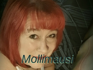 Mollimausi