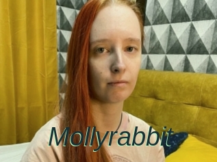 Mollyrabbit