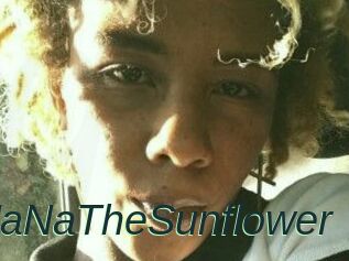 NaNaTheSunflower
