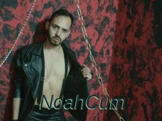NoahCum