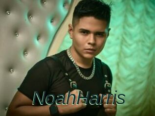NoahHarris