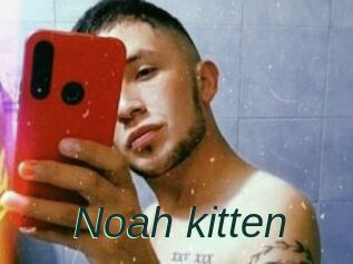 Noah_kitten
