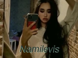Namilevis