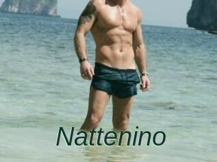 Nattenino