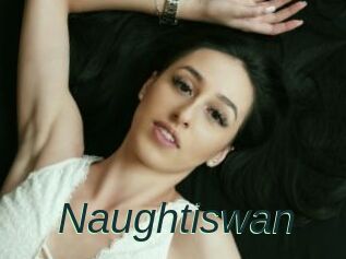 Naughtiswan