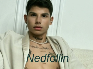 Nedfollin