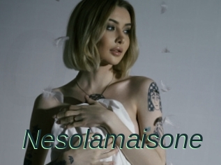 Nesolamaisone